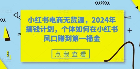 小红书电商无货源，2024年搞钱计划，个体如何在小红书风口赚到第一桶金-耐玩网创