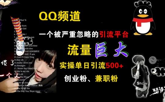 QQ频道，一个被严重忽略的引流平台，流量巨大 实操单日引流500+创业粉兼职粉【揭秘】-耐玩网创