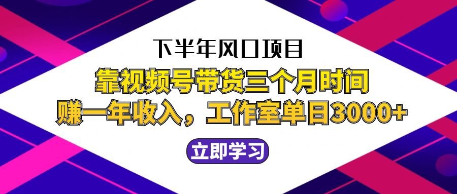 （12849期）下半年风口项目，靠视频号带货三个月时间赚一年收入，工作室实测单日3…-耐玩网创