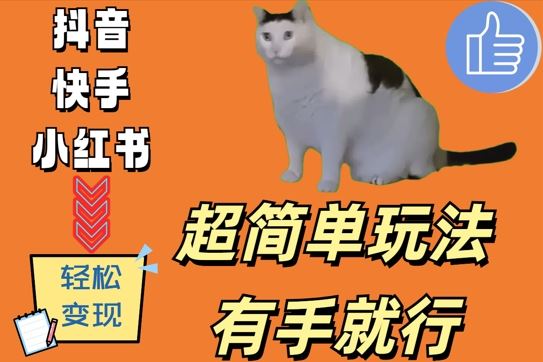超简单玩法，有手就行，靠猫咪视频日入500+【揭秘】-耐玩网创
