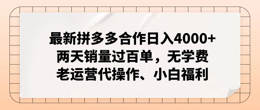（12869期）拼多多最新合作日入4000+两天销量过百单，无学费、老运营代操作、小白福利-耐玩网创