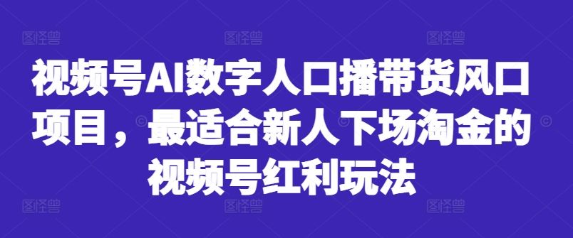 视频号AI数字人口播带货风口项目，最适合新人下场淘金的视频号红利玩法-耐玩网创