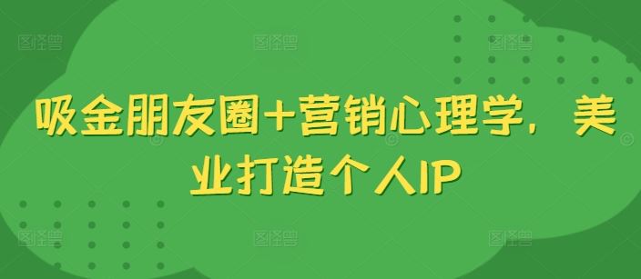 吸金朋友圈+营销心理学，美业打造个人IP-耐玩网创