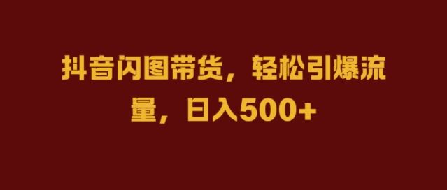 抖音闪图带货，轻松引爆流量，日入几张【揭秘】-耐玩网创