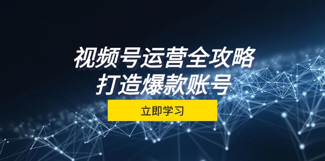 视频号运营全攻略，从定位到成交一站式学习，视频号核心秘诀，打造爆款账号-耐玩网创