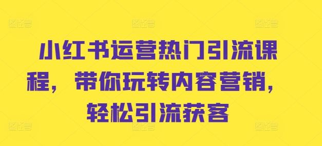 小红书运营热门引流课程，带你玩转内容营销，轻松引流获客-耐玩网创