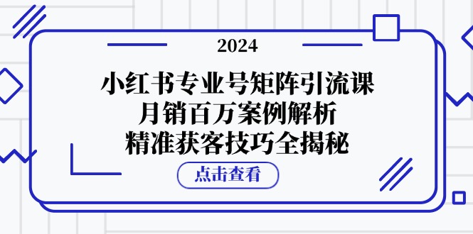 小红书专业号矩阵引流课，月销百万案例解析，精准获客技巧全揭秘-耐玩网创
