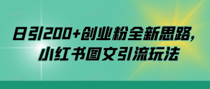 日引200+创业粉全新思路，小红书图文引流玩法【揭秘】-耐玩网创