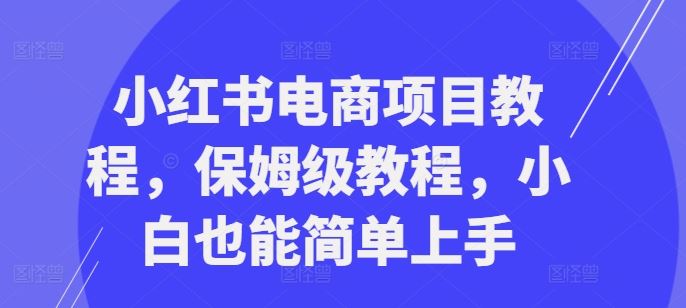小红书电商项目教程，保姆级教程，小白也能简单上手-耐玩网创