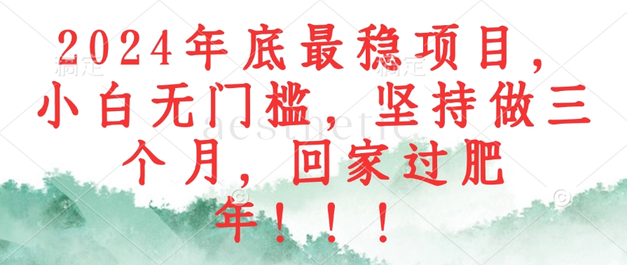 （12970期）2024年底最稳项目，小白无门槛，坚持做三个月，回家过肥年！！！-耐玩网创