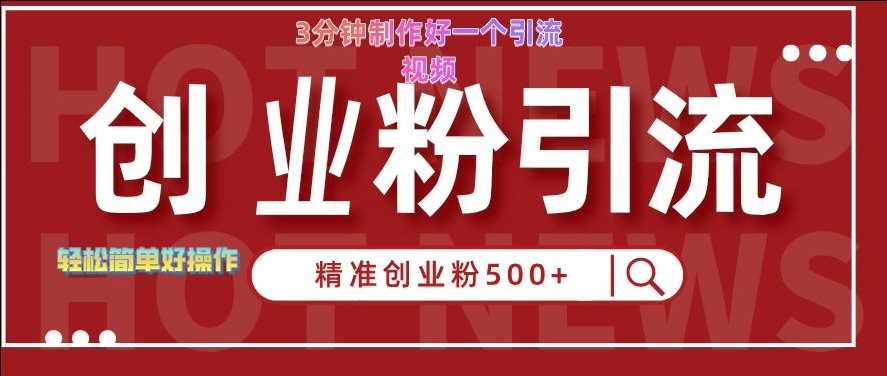 快手被动引流创业粉500+的玩法，3分钟制作好一个引流视频，轻松简单好操作【揭秘】-耐玩网创