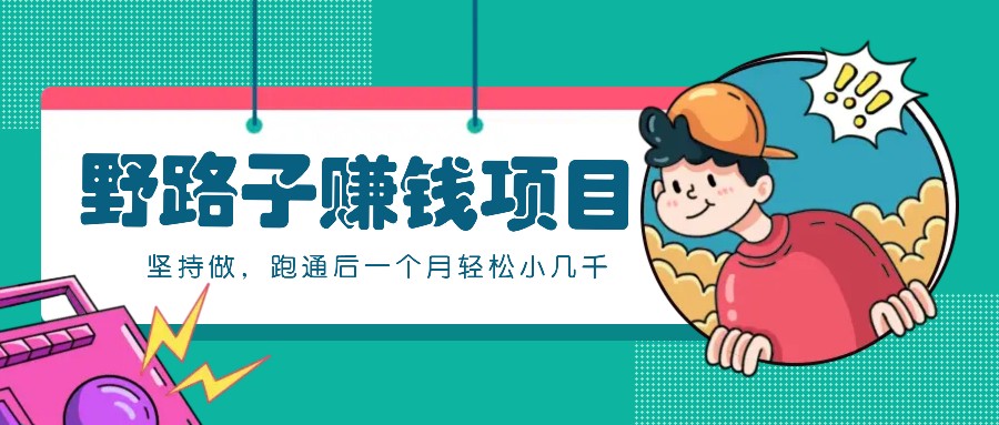 一个人就能操作的野路子赚钱项目，零成本零门槛坚持做，跑通后一个月小几千！-耐玩网创