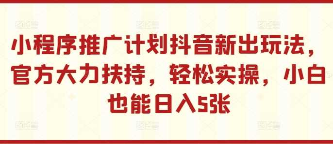 小程序推广计划抖音新出玩法，官方大力扶持，轻松实操，小白也能日入5张【揭秘】-耐玩网创