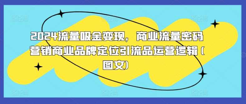 2024流量吸金变现，商业流量密码营销商业品牌定位引流品运营逻辑(图文)-耐玩网创