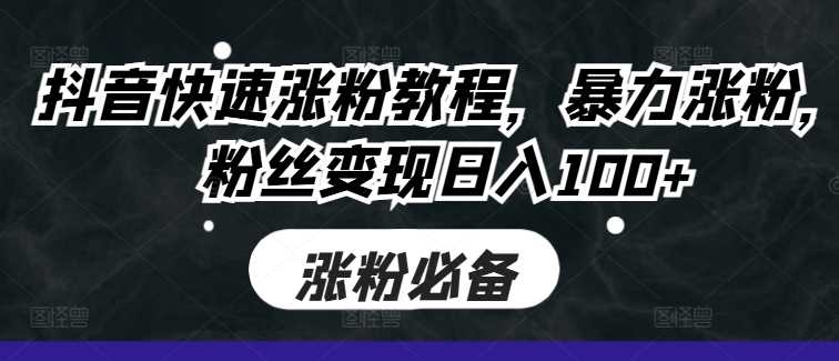 抖音快速涨粉教程，暴力涨粉，粉丝变现日入100+-耐玩网创