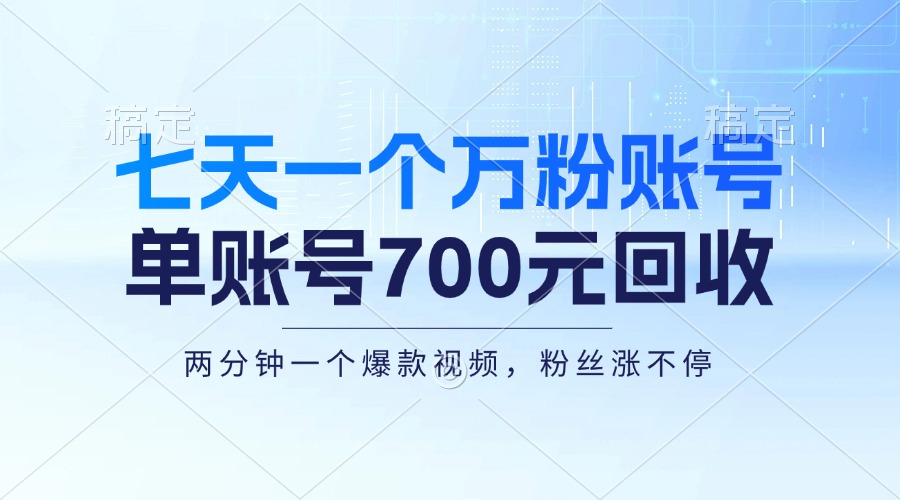 （13062期）七天一个万粉账号，新手小白秒上手，单账号回收700元，轻松月入三万＋-耐玩网创