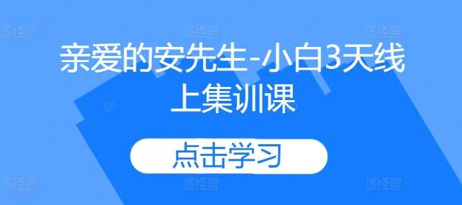亲爱的安先生-小白3天线上集训课-耐玩网创
