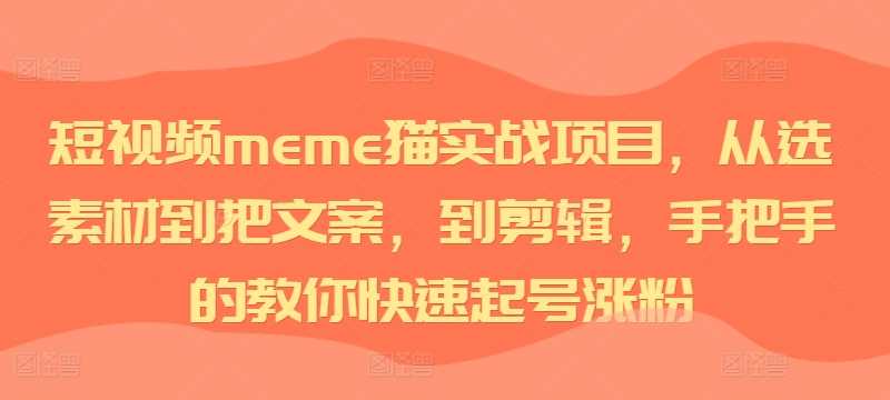 短视频meme猫实战项目，从选素材到把文案，到剪辑，手把手的教你快速起号涨粉-耐玩网创