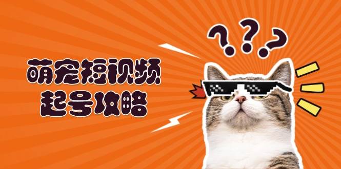 萌宠短视频起号攻略：定位搭建推流全解析，助力新手轻松打造爆款-耐玩网创