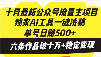 （13156期）十月最新公众号流量主项目，独家AI工具一键洗稿单号日赚500+，六条作品…-耐玩网创