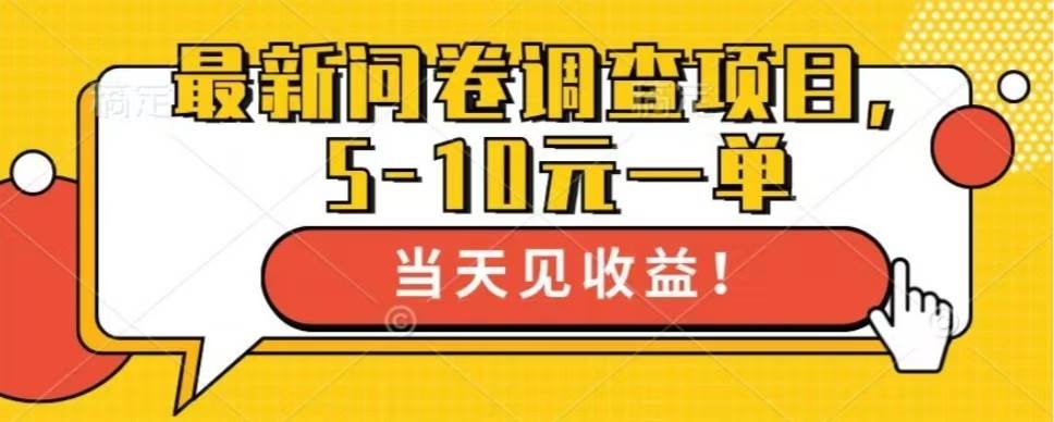 （13167期）最新问卷调查项目，单日零撸100＋-耐玩网创