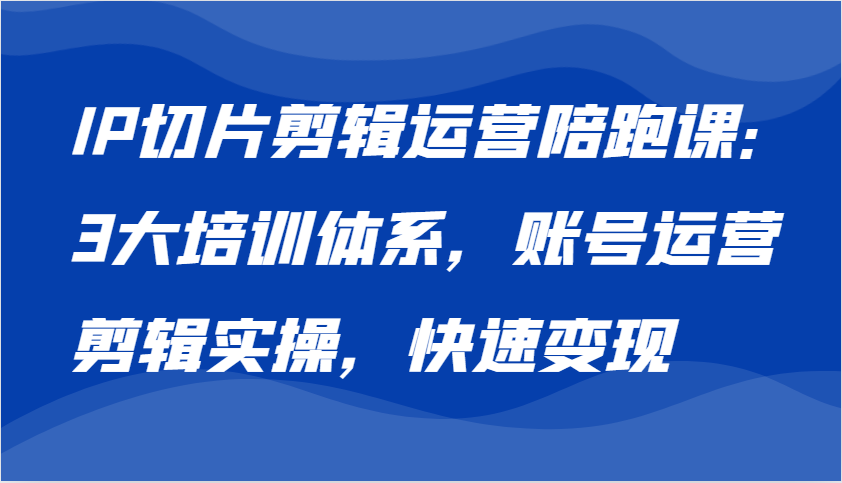 IP切片剪辑运营陪跑课，3大培训体系：账号运营 剪辑实操 快速变现-耐玩网创