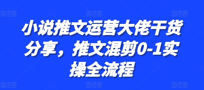 小说推文运营大佬干货分享，推文混剪0-1实操全流程-耐玩网创