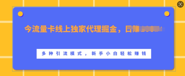 流量卡线上独家代理掘金，日入1k+ ，多种引流模式，新手小白轻松上手【揭秘】-耐玩网创
