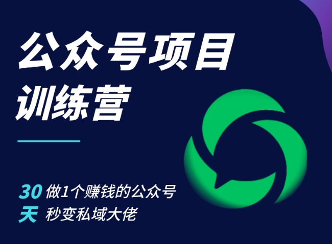 公众号项目训练营，30天做1个赚钱的公众号，秒变私域大佬-耐玩网创