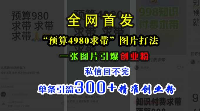 小红书“预算4980带我飞”图片打法，一张图片引爆创业粉，私信回不完，单条引流300+精准创业粉-耐玩网创