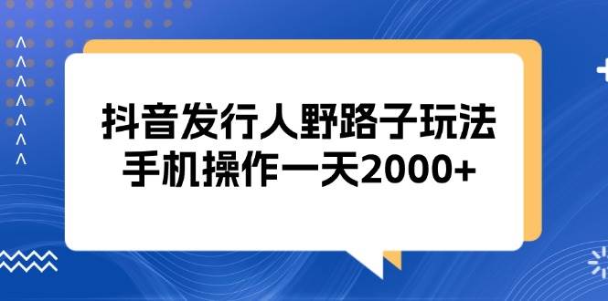 （13220期）抖音发行人野路子玩法，手机操作一天2000+-耐玩网创