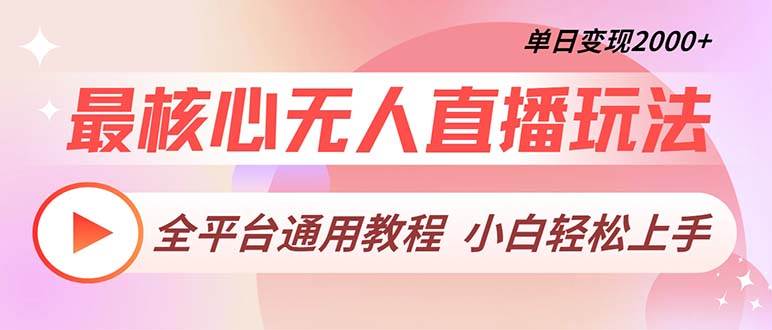 （13221期）最核心无人直播玩法，全平台通用教程，单日变现2000+-耐玩网创