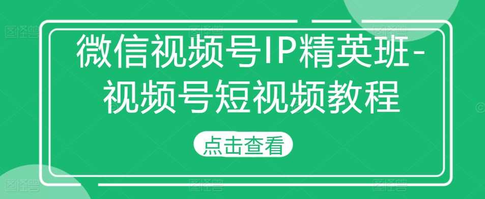 微信视频号IP精英班-视频号短视频教程-耐玩网创