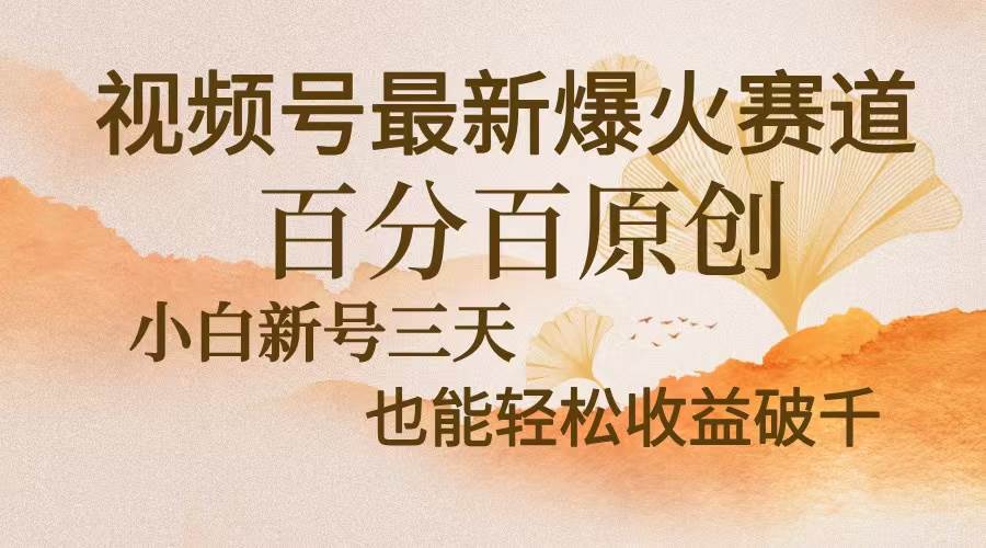 （13225期）视频号最新爆火赛道，中老年粉深信不疑，百分百原创，新号三天收益轻松…-耐玩网创