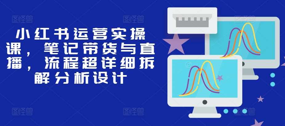 小红书运营实操课，笔记带货与直播，流程超详细拆解分析设计-耐玩网创
