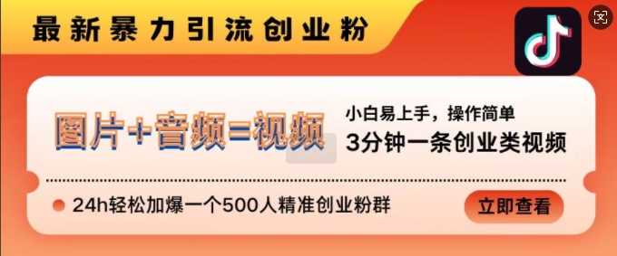 抖音最新暴力引流创业粉，3分钟一条创业类视频，24h轻松加爆一个500人精准创业粉群【揭秘】-耐玩网创