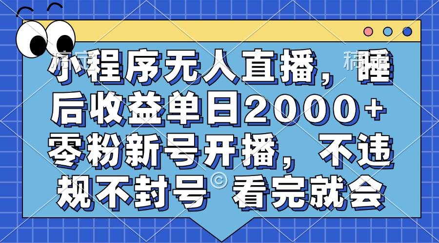 （13251期）小程序无人直播，睡后收益单日2000+ 零粉新号开播，不违规不封号 看完就会-耐玩网创