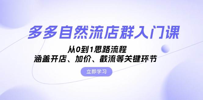 （13279期）多多自然流店群入门课，从0到1思路流程，涵盖开店、加价、截流等关键环节-耐玩网创