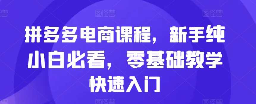 拼多多电商课程，新手纯小白必看，零基础教学快速入门-耐玩网创
