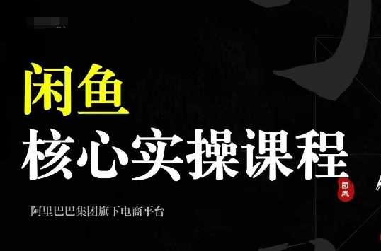 2024闲鱼核心实操课程，从养号、选品、发布、销售，教你做一个出单的闲鱼号-耐玩网创