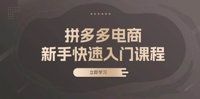 （13289期）拼多多电商新手快速入门课程：涵盖基础、实战与选款，助力小白轻松上手-耐玩网创