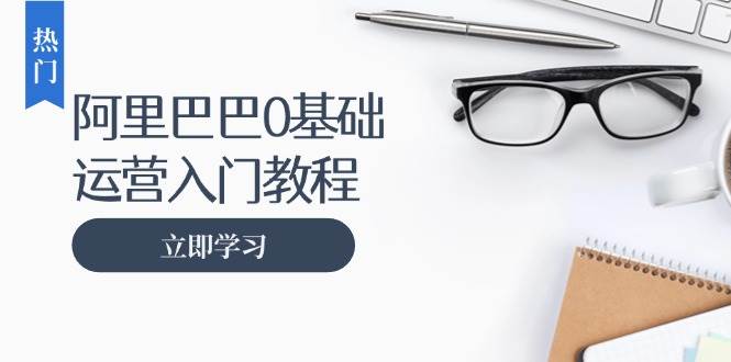 （13291期）阿里巴巴运营零基础入门教程：涵盖开店、运营、推广，快速成为电商高手-耐玩网创