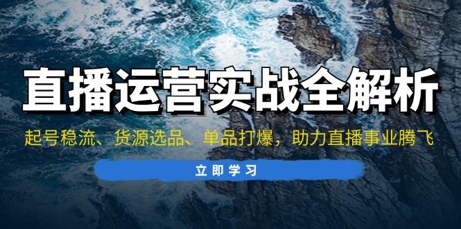 （13294期）直播运营实战全解析：起号稳流、货源选品、单品打爆，助力直播事业腾飞-耐玩网创