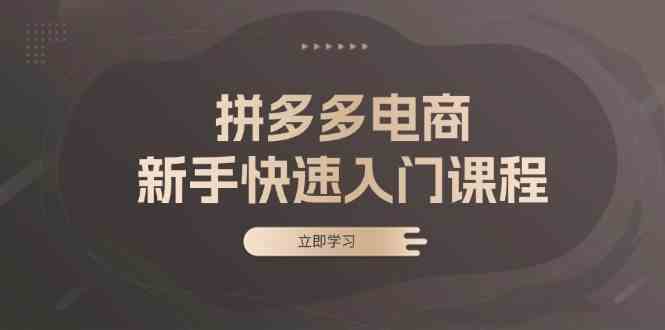 拼多多电商新手快速入门课程：涵盖基础、实战与选款，助力小白轻松上手-耐玩网创