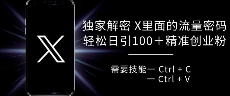 独家解密 X 里面的流量密码，复制粘贴轻松日引100+-耐玩网创