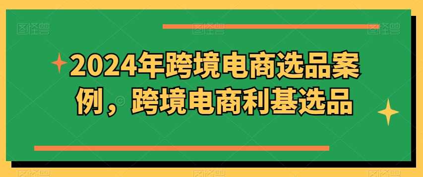 2024年跨境电商选品案例，跨境电商利基选品（更新11月）-耐玩网创