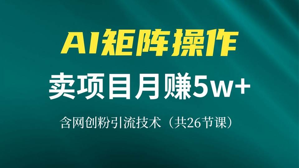 （13335期）网创IP打造课，借助AI卖项目月赚5万+，含引流技术（共26节课）-耐玩网创