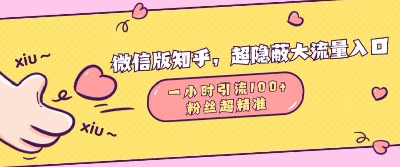 微信版知乎，超隐蔽流量入口1小时引流100人，粉丝质量超高【揭秘】-耐玩网创