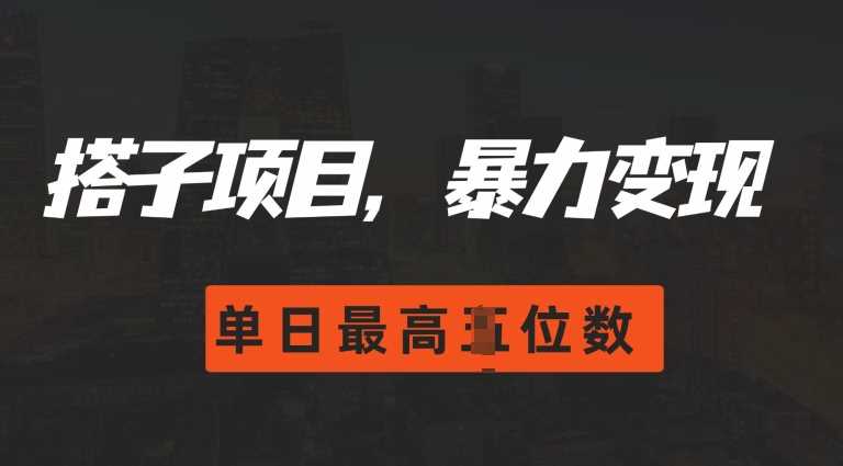 2024搭子玩法，0门槛，暴力变现，单日最高破四位数【揭秘】-耐玩网创