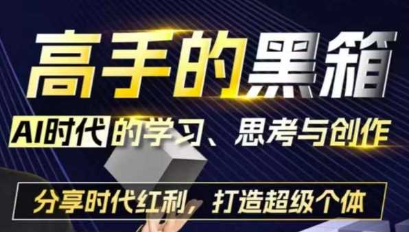 高手的黑箱：AI时代学习、思考与创作-分红时代红利，打造超级个体-耐玩网创